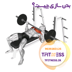 بدن سازی چیست؟
