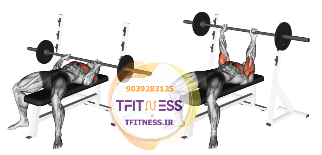 عضلات Barbell Bench Press - Medium Grip Instructions حرکت پرس سینه با هالتر دست متوسط شروع حرکت