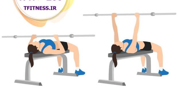 Barbell Bench Press - Medium Grip Instructions تصویری از پرس سینه با هالتر بانوان